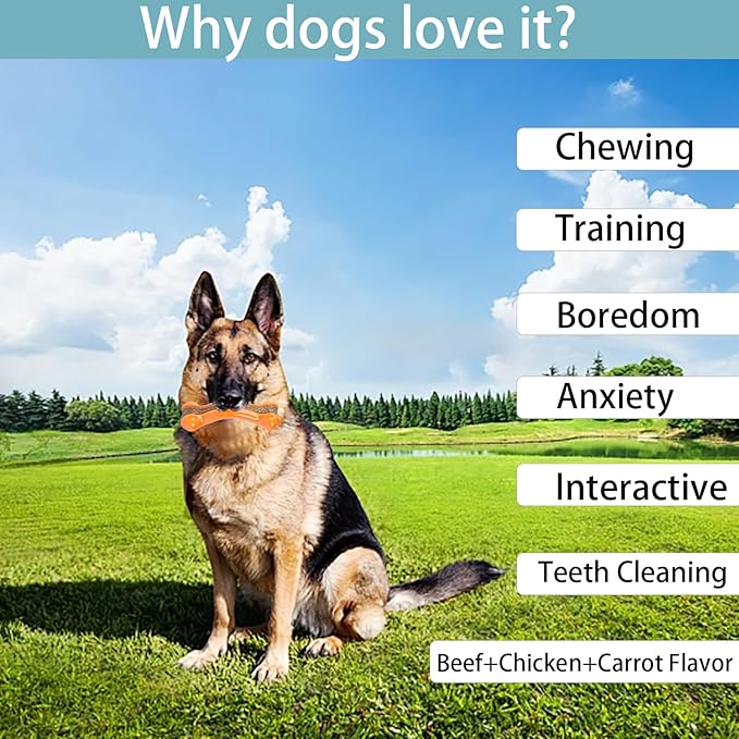 Real Beef+Chicken+Carrot Flavor Dog Chew Toys - Indestructible Teething Toys for Large/Medium/Small Breed, Tough Durable Nylon Toys