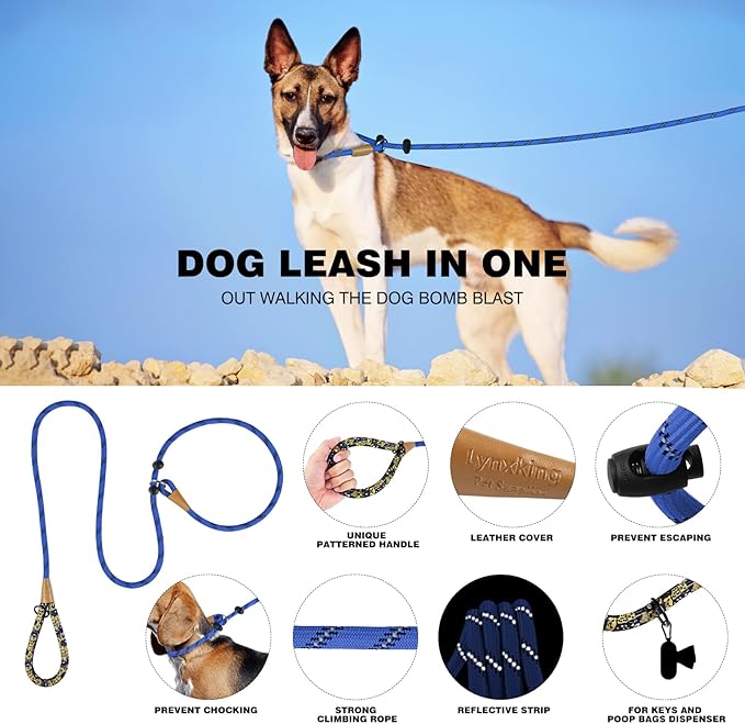 lynxking Slip Lead Dog Leash Reflective, Heavy Duty Comfortable Strong Rope for Large Medium Small Dogs No Pull Pet Training (Blue, Small 3/8in x 6ft-Slip Lead)