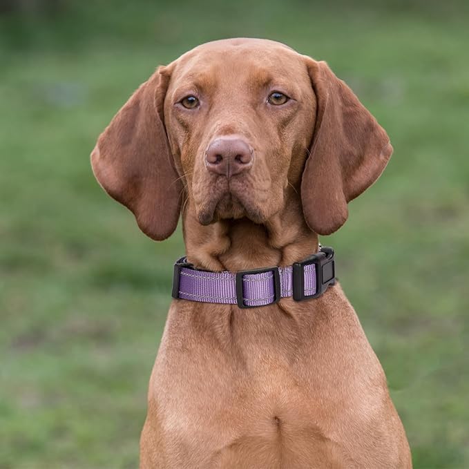 Reflective Martingale Dog Collars. Dog Collar with Quick Release Buckle. Adjustable Soft Padded Breathable Nylon Pet Collar Suitable for Puppies for Small Medium Large Dogs.