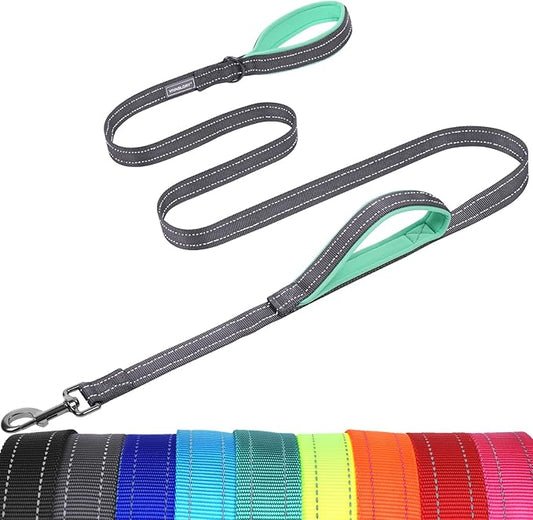 VIVAGLORY Twingrip Dog Leash, Double Handle Dog Leash for Training & Walking with Traffic Handle & 2 Loop, Traffic Control Reflective Heavy Duty for Puppy Pet, 6ft x 1in, Grey