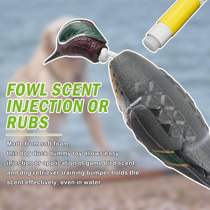 Archerest Dead Duck Dove Pheasant Dummy Bumper Toys for Waterfowl Hunting Retriever Dog Training, Floating Mallard Dummy Trainer Outdoor Soft Durable Realistic Fowl