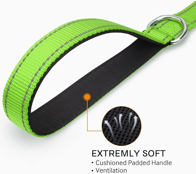 Joytale Double-Sided Reflective Dog Leash, 6 FT/5 FT/4 FT, Padded Handle Nylon Heavy Duty Leashes for Small & Medium Dogs Walking, Green, 6FT