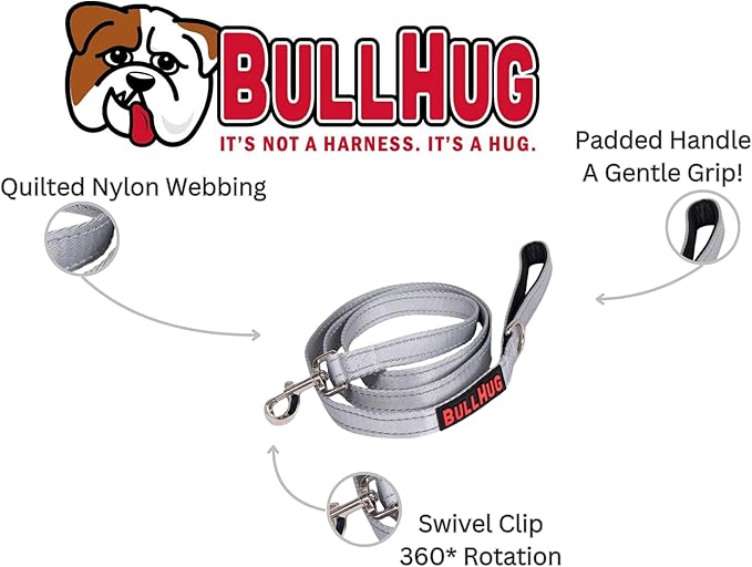 BULLHUG 6 FT Bulldog Leash with Padded Handle. Perfect for Bulldogs, French Bulldogs, Pugs & All Breeds. Leashes for Walking, Training Lead for Bulldogs (Silver)