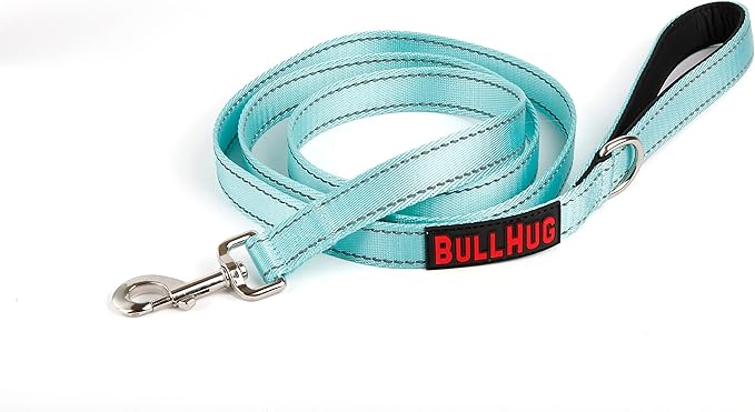 BULLHUG 6 FT Bulldog Leash with Padded Handle. Perfect for Bulldogs, French Bulldogs, Pugs & All Breeds. Leashes for Walking, Training Lead for Bulldogs (Reflective Stitching, Tiffany)