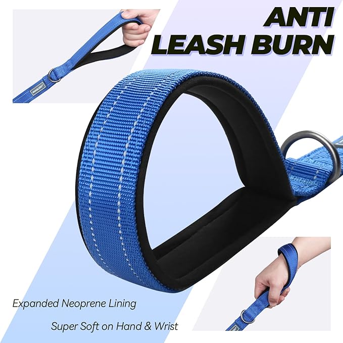 VIVAGLORY Twingrip Dog Leash, Double Handle Dog Leash for Training & Walking with Traffic Handle & 2 Loop, Traffic Control Reflective Heavy Duty for Puppy Pet, 5ft x 1in, Blue