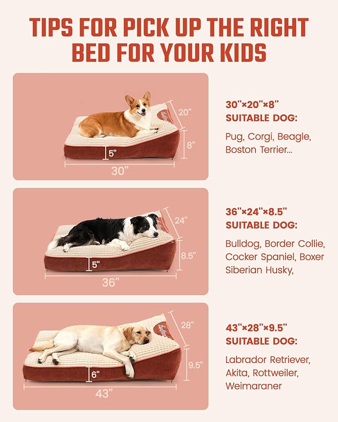 Orthopedic Dog Bed,Cat Beds for Indoor Cats - Comfy Flat Puppy Beds with Removable Washable Cover, Small Dog Bed, Pet Mat Suitable for Pet Up to 30 lbs(30''×20''×5'')