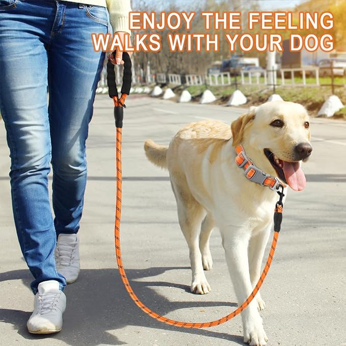 BARKBAY Dog Leashes for Large Dogs Heavy Duty Dog Leash 2 Pack 5 FT with Comfortable Padded Handle Highly Reflective Threads for Medium Large Dogs Walking Training Running (5FT-1/2,Orange+Black)