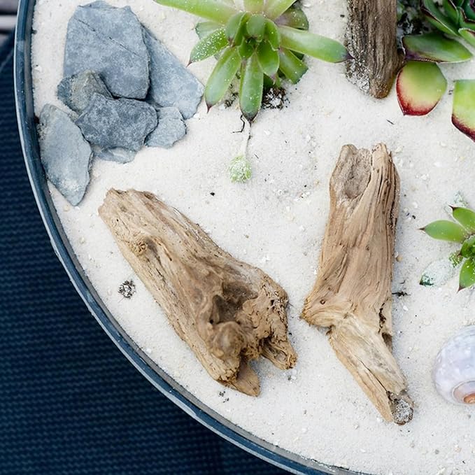 10 lbs Aquarium White Sand, 0.8-2mm Coarse Sand. Small Gravel for Fish Tank, Succulent Plants Potted, Paintings, Fire Pits, Candle, Vase Filler and Crafts