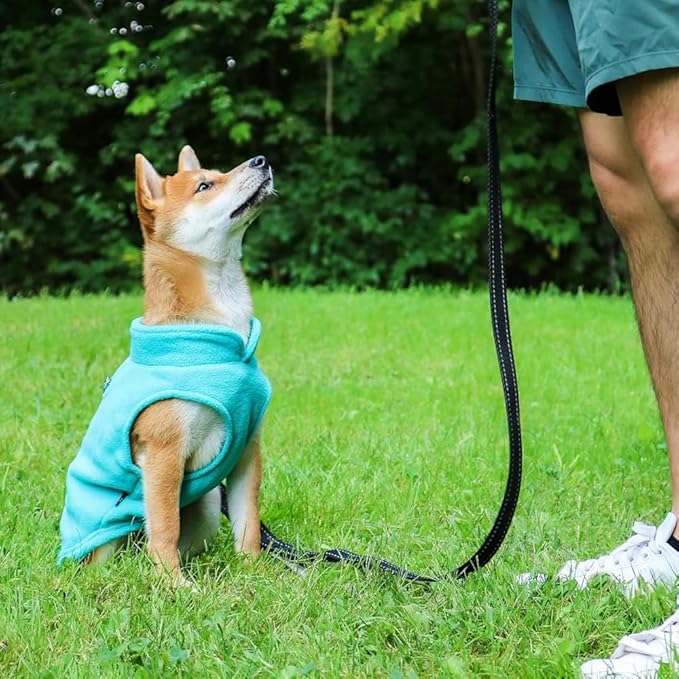 JACKO & CO - Fleece Vest Dog Sweater with Leash Ring - Soft, Warm & Lightweight Pullover Coat for Small & Medium Dogs, Puppies & Cats - Cozy Fall/Winter/Spring Pet Jacket (Turquoise, Large 10-16lbs)