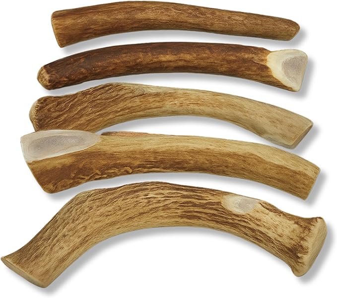 WhiteTail Naturals - Bulk Deer Antlers for Dogs (1 Pound Pack) Antler Chews - Naturally Shed, Long Lasting Dog Bones for Aggressive Chewers.