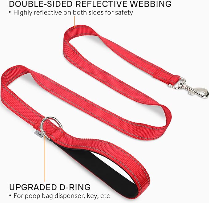 Joytale Double-Sided Reflective Dog Leash, 4 FT, Padded Handle Nylon Heavy Duty Leashes for Medium & Large Dogs Walking, Red