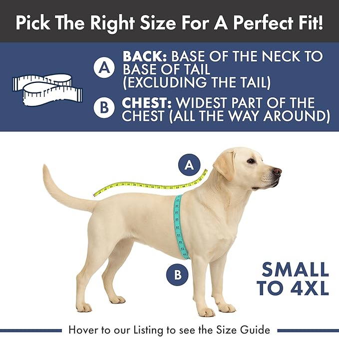 Spark Paws Christmas Dog Sweater - Ultra Soft Holiday Knit Sweater for Small, Medium & Large Dogs, Cute Pet Sweater for French Bulldogs & Big Dogs, Potty V Cut Design Jacket (Winter Wonderland, XL)