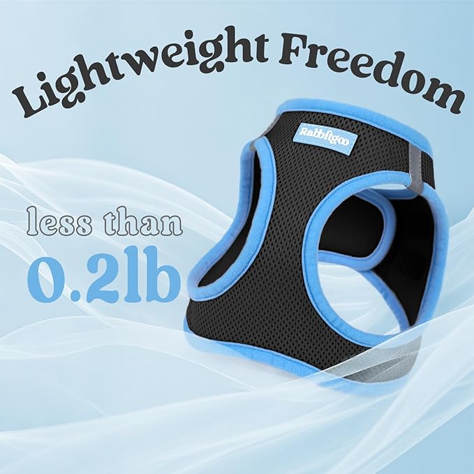 rabbitgoo Dog Harness Small Sized and Leash Set, Step-in Breathable Pet Harness, Soft Walking Reflective Puppy Vest for Small Dogs, Black & Light Blue, XXS