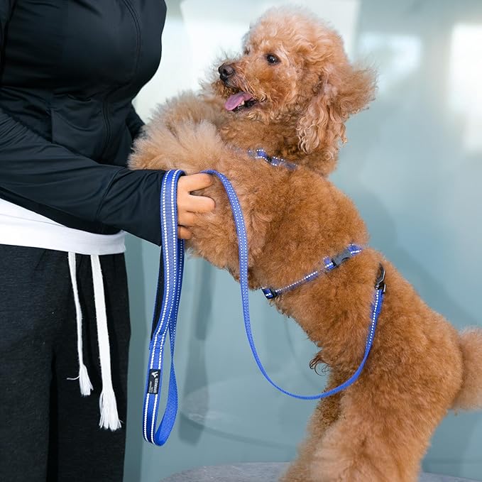 EXCELLENT ELITE SPANKER No Pull Dog Harness Reflective Nylon Vest L-Shaped Adjustable Easy Pet Harness for Small Medium Large Breeds Dogs Walking Training Black Red(Blue-M)