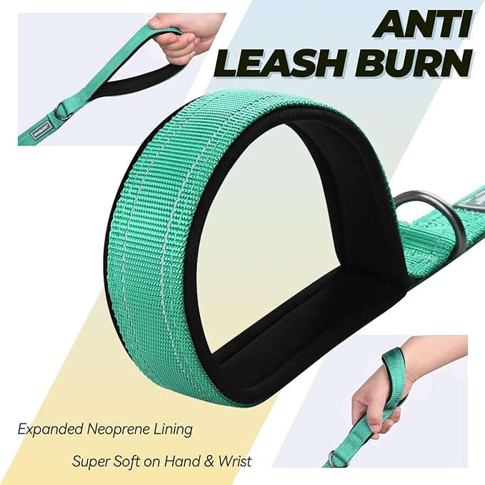 VIVAGLORY Twingrip Dog Leash, Double Handle Dog Leash for Training & Walking with Traffic Handle & 2 Loop, Traffic Control Reflective Heavy Duty for Puppy Pet, 6ft x 1in, Turquoise