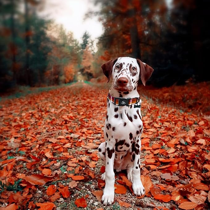 Elegant little tail Fall Dog Collar, Plaid Puppy Collars Fall Yellow Male Cute Puppy Adjustable Cotton Pet Collar with Quick Release Buckle for Small Medium Large Dogs