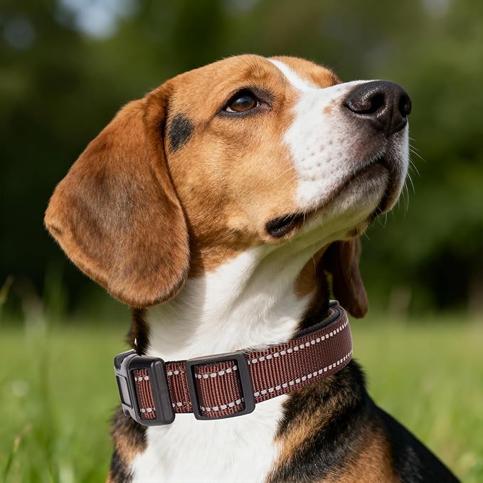 Reflective Martingale Dog Collars. Dog Collar with Quick Release Buckle. Adjustable Soft Padded Breathable Nylon Pet Collar Suitable for Puppies for Small Medium Large Dogs.