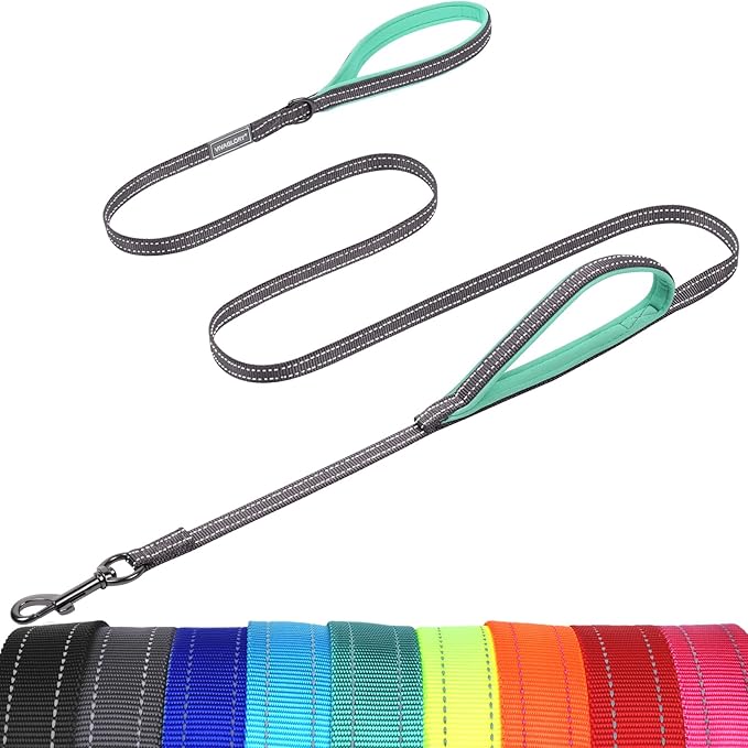 VIVAGLORY Twingrip Dog Leash, Double Handle Dog Leash for Training & Walking with Traffic Handle & 2 Loop, Traffic Control Reflective Heavy Duty for Puppy Pet, 5ft x 1/2in, Grey