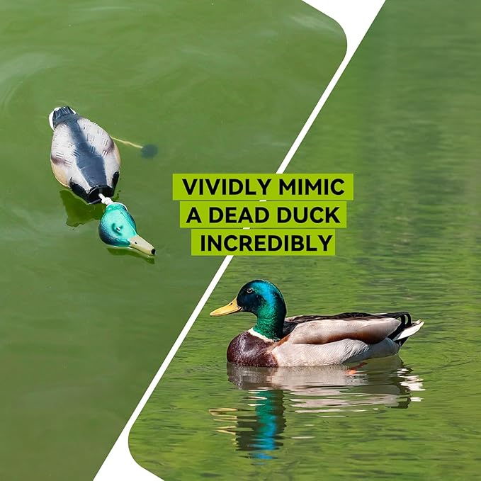 Duck/Pheasant Dummy, Mimics Dead Duck/Pheasant Bumper for Gun Dog Training Scent Waterfowl Hunting Retriever, Outdoor Mallard Retrieval Interactive Train Toys, Floating & Durable