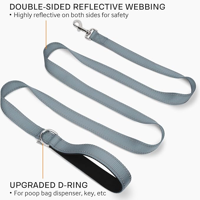 Joytale Dog Leash, 6 FT Double-Sided Reflective, Padded Handle Nylon Heavy Duty Leashes for Medium & Large Dogs Walking, Gary, 6FT