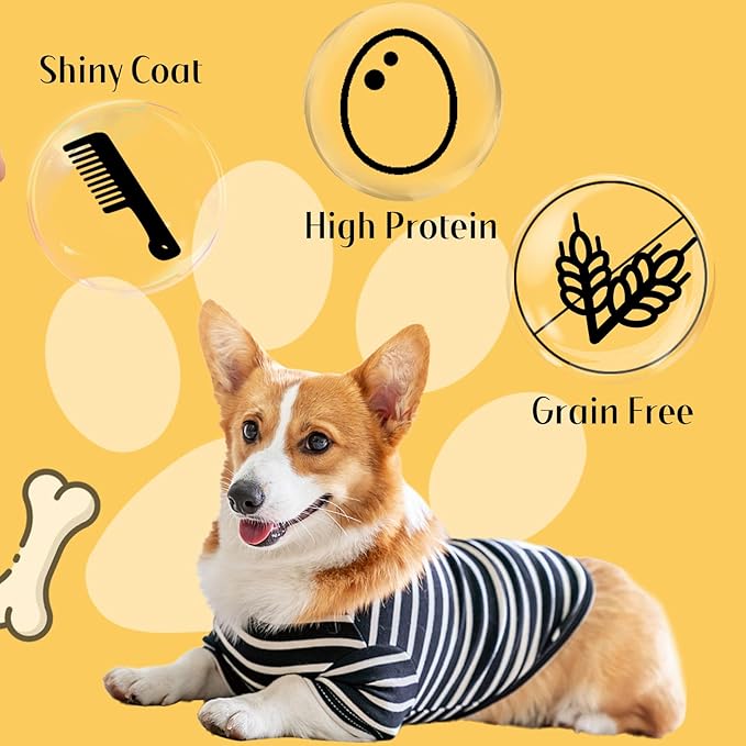 ASMPET Dog Treats, Chicken Chips Grain Free Chewy Dog Snacks for Training Rewards