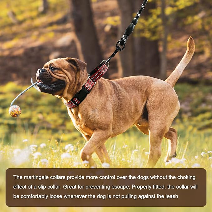 Hikiko Martingale Dog Collars Reflective Nylon Dog Collar with Quick Release Buckle Adjustable Training No Slip Dog Collar (Small, Red)