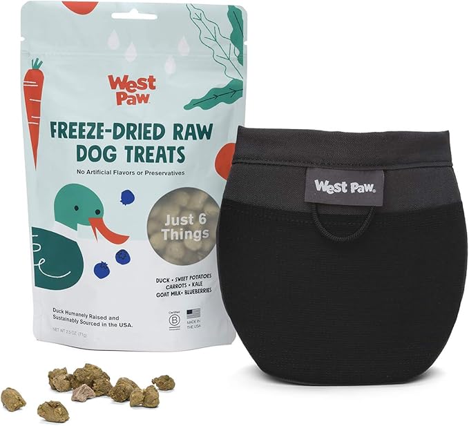West Paw Design Outings Dog Treat Pouch – Pet Pouches for Walking, Dog Training – Accessories for Pets – Includes Hinge Snaps, Water-Resistant Liner, Belt Clip – Eco-Friendly Dog Pouches (Grey)