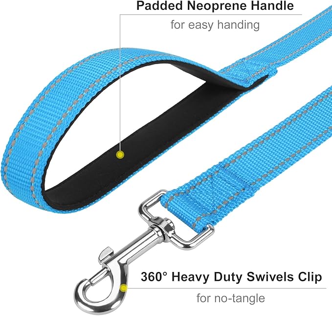 6FT Reflective Nylon Dog Leash with Soft Padded Handle for Walking, Running and Training, Supports Small Medium and Large Dogs (Auqa Blue, 3/4Inch Wide)