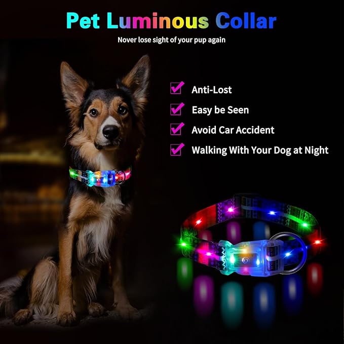 Light Up Dog Collars,LED Dog Collar Rechargeable Waterproof,2-in-1 Buckle Type Glow Collar for Medium Large Dogs- XL(15-25 * 0.98 inch can be Crop)