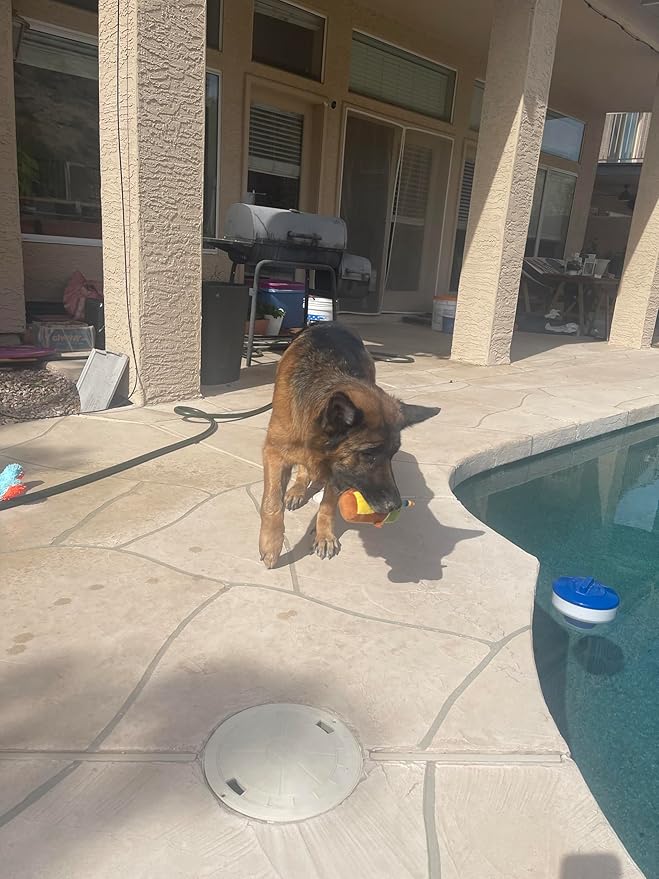 Jalousie 5 Pack Tough Plush Animal Dog Toys Assortment Value Bundle Dog Squeaky Toys Assortment Puppy Pet Mutt Dogs Toy Squeak Toy for Snall Medium Large Breeds (6 Pack Surprise Mix)