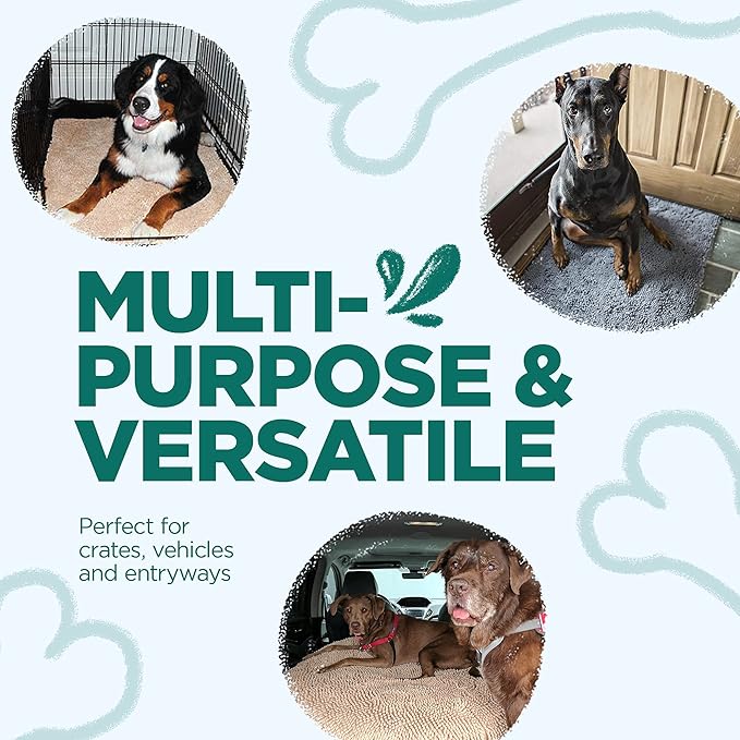 Soggy Doggy Doormat Plain Solid Color Design - Ultra Absorbent Microfiber Chenille Wet Dog Mat for Muddy Paws - Non-Slip and Machine Washable (Evergreen, Large 26” x 36”)