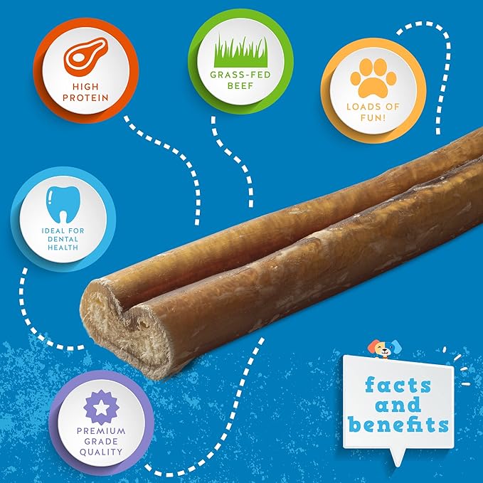 Jack&Pup 6 Inch Thick Bully Sticks for Dogs (24 Pack) Bully Stick Dog Chews, Single Ingredient 100% Beef Bully Sticks for Medium and Large Dogs