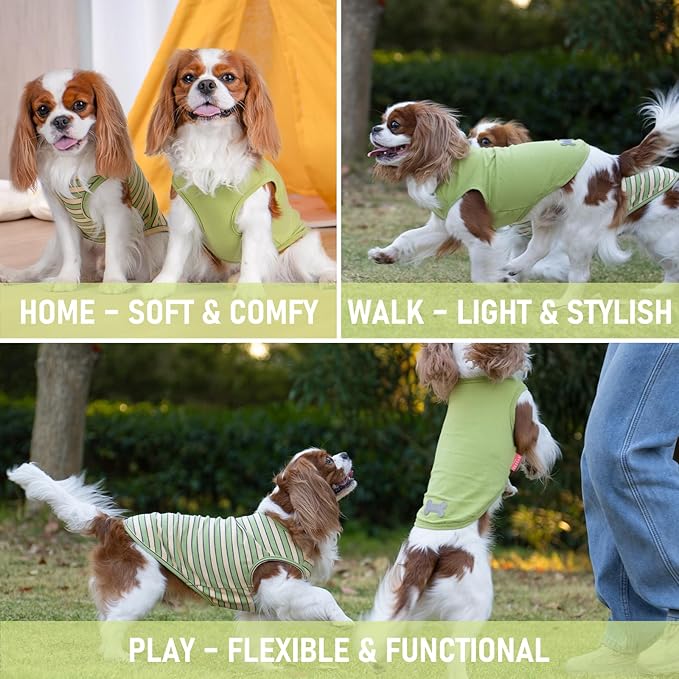 KYEESE 2Pack Dog Shirts Striped T Shirt Soft Tee for Small Dogs Cotton Tank Top Lightweight Sleeveless Vest Dog Clothes, Small,Green+Striped