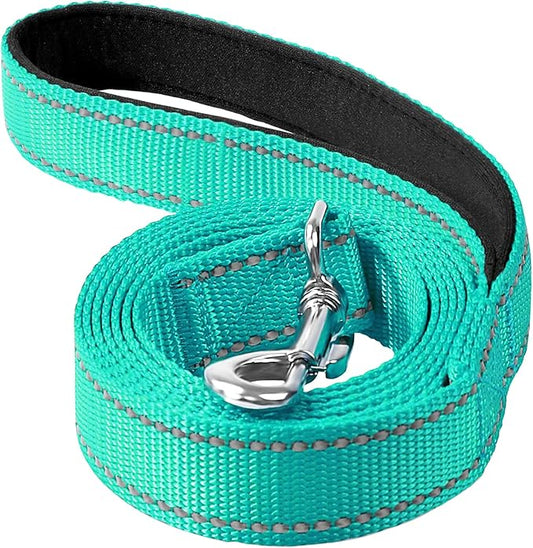 6FT Reflective Nylon Dog Leash with Soft Padded Handle for Walking, Running and Training, Supports Small Medium and Large Dogs (Turquoise, 1 Inch Wide)