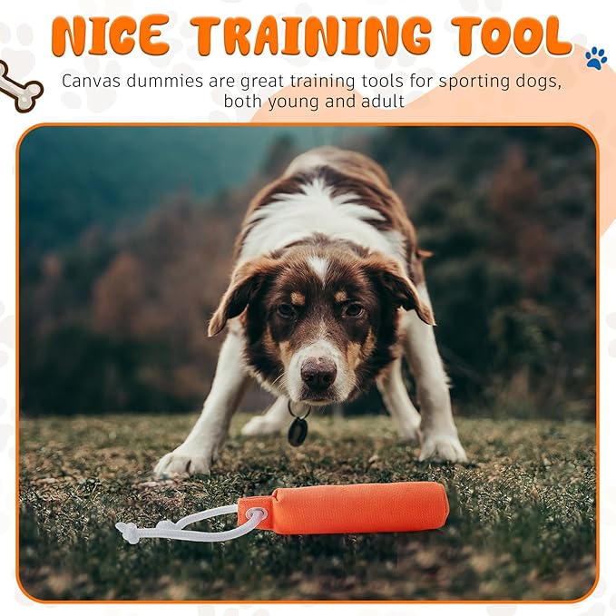 2 Pcs Dog Bumpers Canvas Training Dummy Hunting Dog Training Toys for Easy Throwing (Not Chew Toys)(Orange,7.1 x 1.6 Inches)