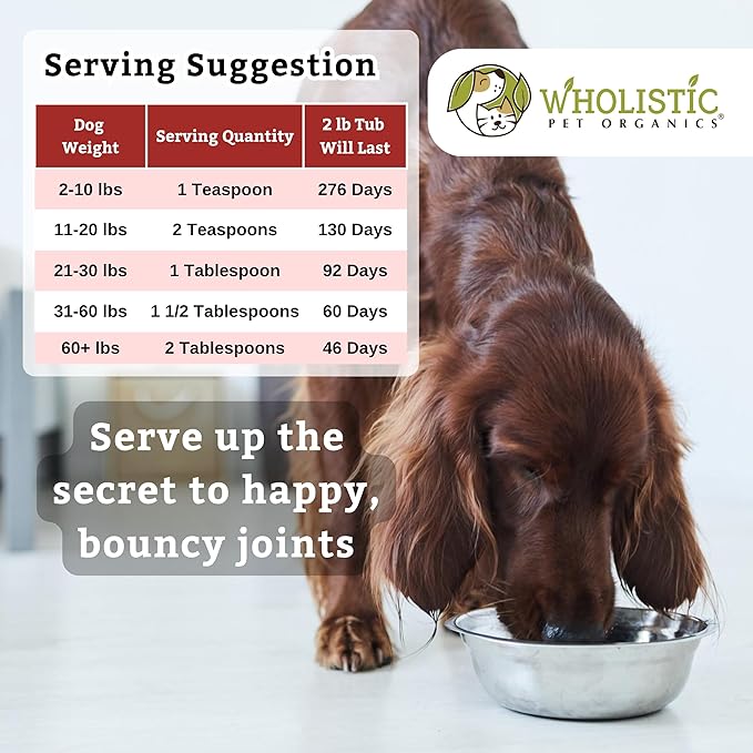 Wholistic Pet Organics Joint Mobility GLM - 2 Lb - Hip and Joint Supplement for Dogs - Glucosamine for Dogs - Chondroitin Supplement with Green Lipped Mussels - Senior to Puppy - Large & Small Breeds