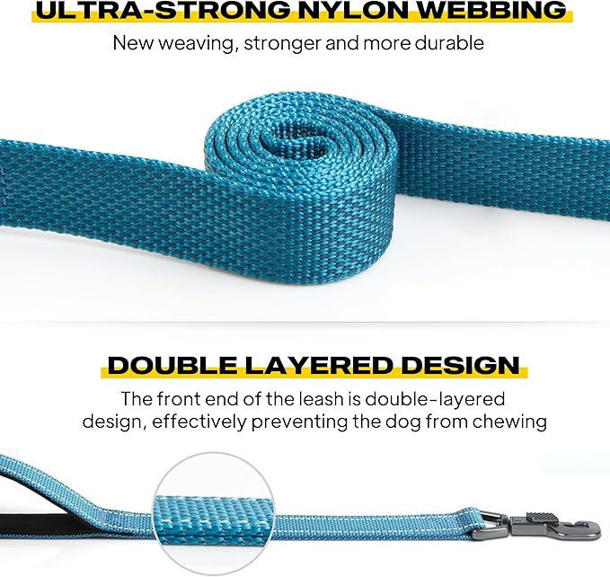 Fida 4 FT Heavy Duty Dog Leash with 2 Comfortable Padded Handles, Traffic Handle & Advanced Easy Snap Hook, Reflective Walking Lead for Large, Medium & Small Breed Dogs, Blue