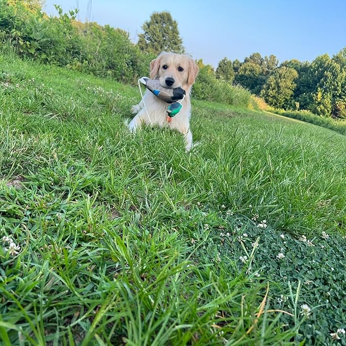 2 Pcs Foam Duck Dummy Bumper - Retriever Hunting Dog Training Toys for Waterfowl Recognition & Retrieval, Duck Decoys - Durable Puppy Dog Trainer