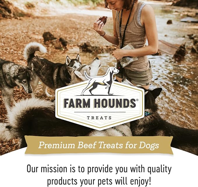 Farm Hounds - Beef Jerky - Premium Natural Jerky for Dogs - Made from 100% Humanely Raised Cattle - Break-to-Size - Great for Training & Treats - No Added Fillers - Made in USA - 3.5 oz - 1 Pack