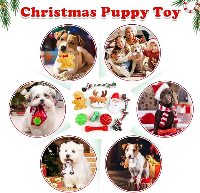 Christmas Dog Toys 10 Pack, Luxury Santa Puppy Chew Toy, Cotton Squeaky Plush Toys for Small Dogs, Durable Interactive Rope Treat Dog Ball and Bones, Rubber Teething Toys for Dogs Gifts