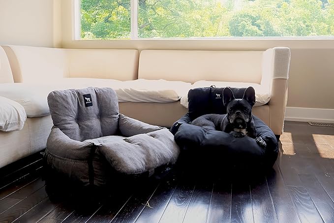 JACKO & CO - Premium Dog Car Seat v2 Firmer Booster Seat for Small Medium Pets Under 30lbs, Puppies, Cats -Travel Bed & Bag, Clip-On Leash Water Resistant (Black/Small (1-30lbs)