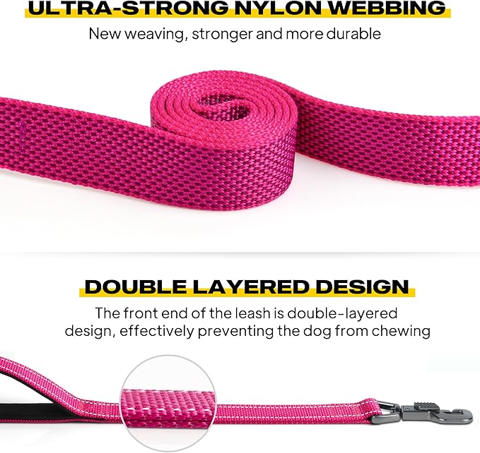 Fida 5 FT Heavy Duty Dog Leash with 2 Comfortable Padded Handles, Traffic Handle & Advanced Easy Snap Hook, Reflective Walking Lead for Large, Medium & Small Breed Dogs, Rose