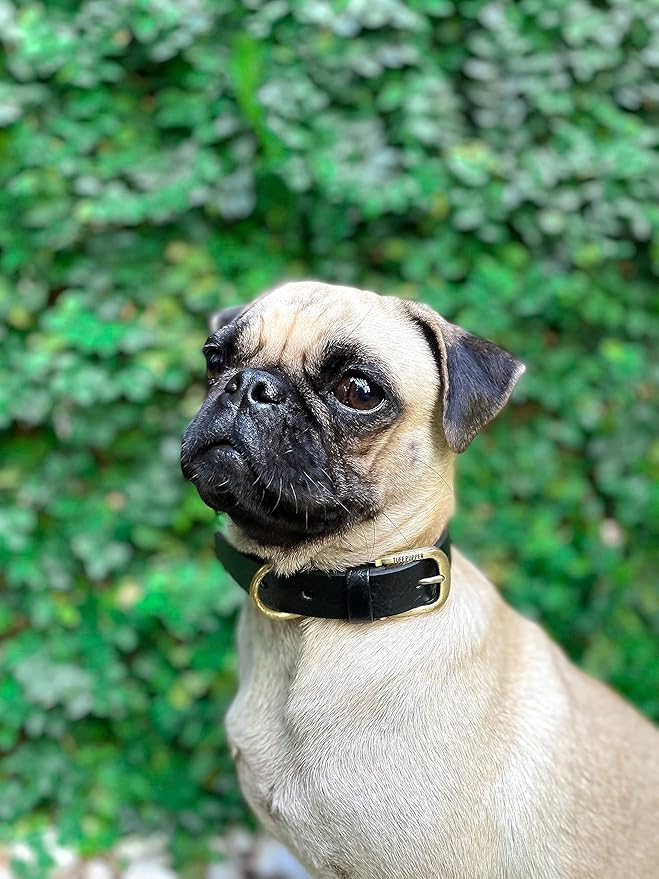 Tuff Pupper Classic Heavy Duty Dog Collar | 10x Stronger Than Leather | 100% Waterproof & Odor Proof Dog Collar | Tough Rust-Proof All Metal Hardware