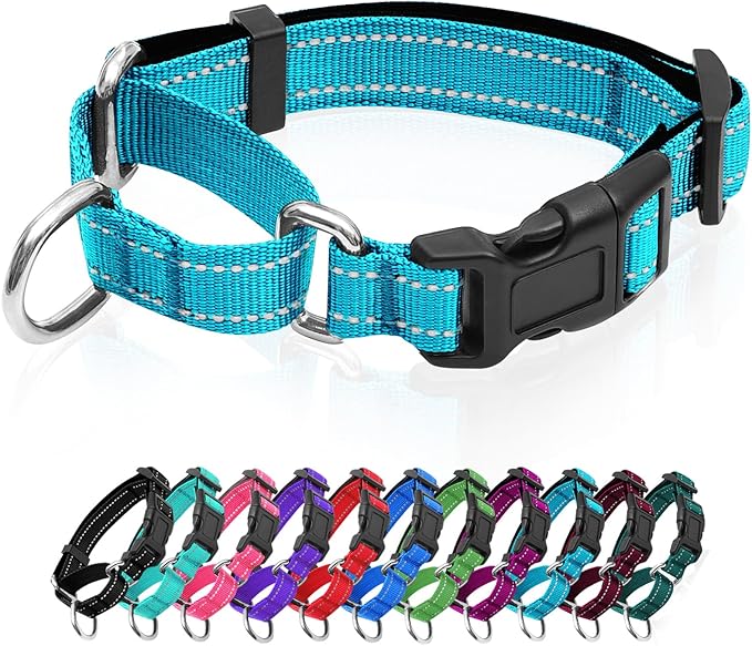 Reflective Martingale Dog Collars. Dog Collar with Quick Release Buckle. Adjustable Soft Padded Breathable Nylon Pet Collar Suitable for Puppies for Small Medium Large Dogs.