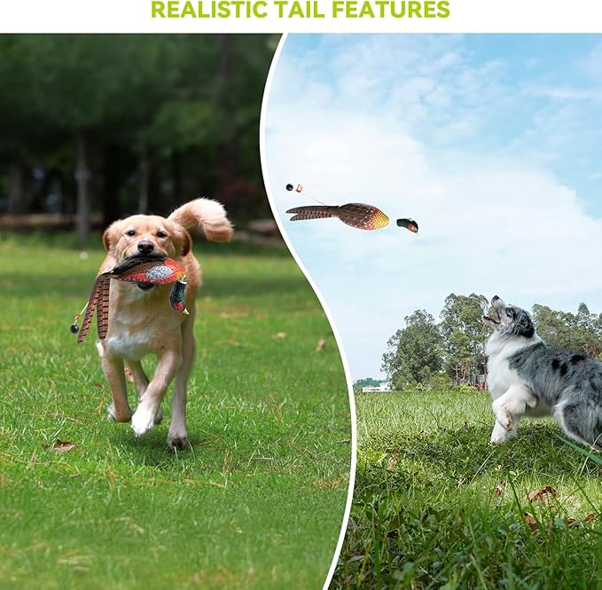 Duck/Pheasant Dummy, Mimics Dead Duck/Pheasant Bumper for Gun Dog Training Scent Waterfowl Hunting Retriever, Outdoor Mallard Retrieval Interactive Train Toys, Floating & Durable