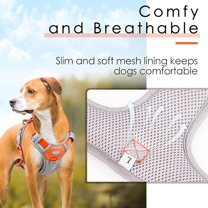 ThinkPet No Pull Harness Breathable Sport Vest with Handle-Dog Harnesses Reflective Adjustable for Medium Large Dogs