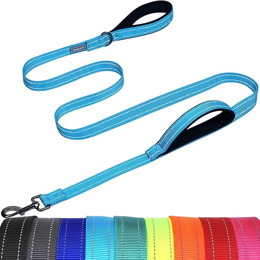 VIVAGLORY Twingrip Dog Leash, Double Handle Dog Leash for Training & Walking with Traffic Handle & 2 Loop, Traffic Control Reflective Heavy Duty for Puppy Pet, 4ft x 1in, Lake Blue