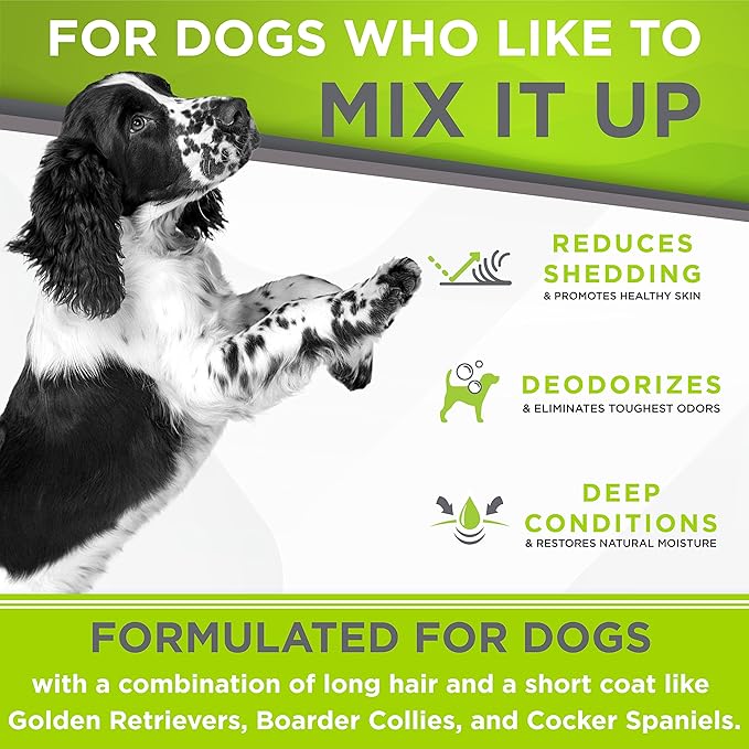 TropiClean Perfect Fur Deodorizing and Deshedding Dog Shampoo for Smelly Dogs, for Breeds with Long and Short Fur, Odor Control, Puppy Safe, 16oz.