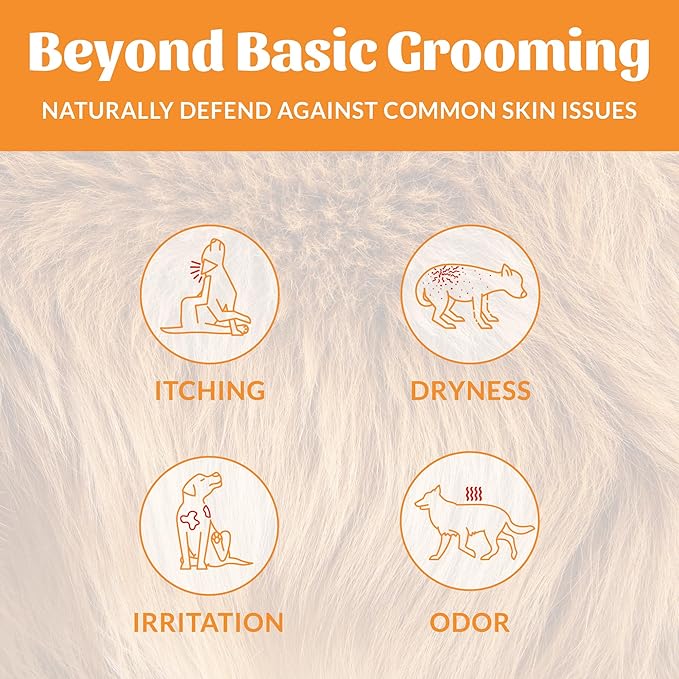 Skout's Honor Puppermint Probiotic Dog Shampoo - for Naturally Balanced and Healthier Looking Skin, Itchy Skin Relief, Healthy Coat & Skin, Avocado Oil, 16 oz