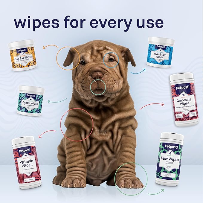 Petpost Large Paw Wipes for Dogs | 70 Count Dog Paw Cleaner Wipes with Coconut Oil, Jojoba Oil & Aloe | Gentle Pet Wipes for Paws | Ultra Soft Cotton Pads, Cherry Blossom Scent
